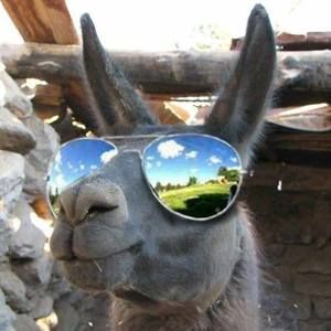 Meet your Posher, Corey